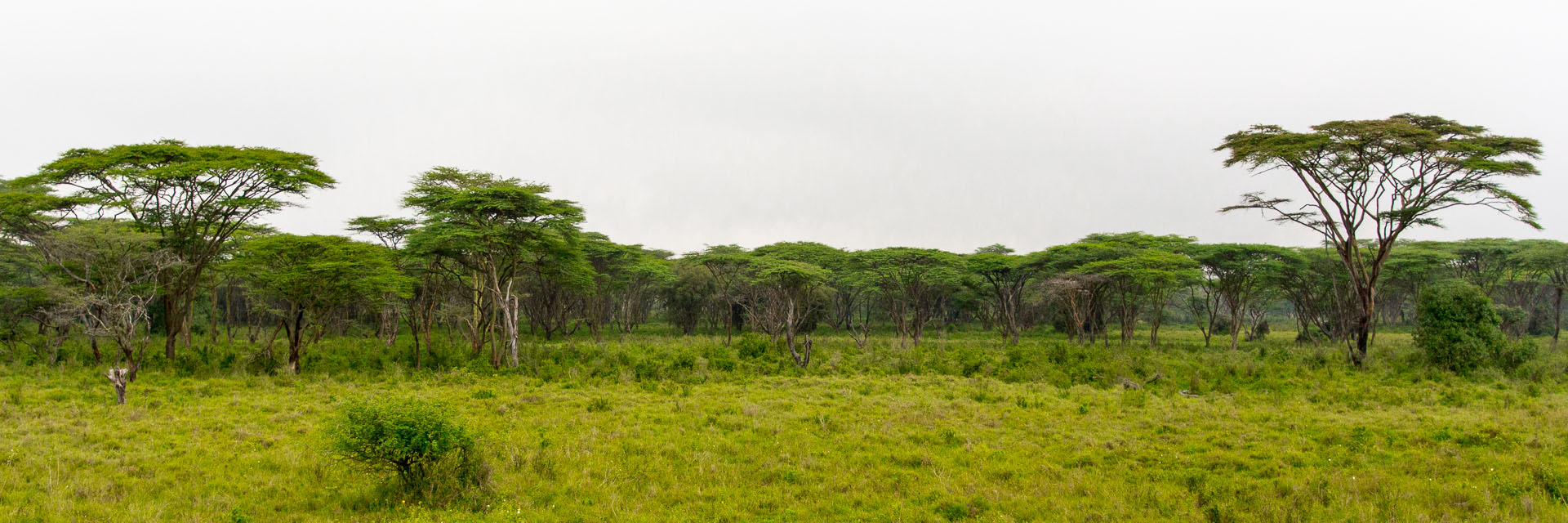 Nairobi National Park